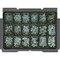 BTI Box 1 + Gewindeschraube DIN 7985 Stahl verzinkt, BTI Box Gewindeschraube DIN 7985 Stahl verzinkt, BTI Box 1 Gewindeschraube DIN 7985 Stahl verzinkt, BTI Box 1 Gewindeschrauben